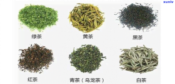 产茶种类最多的省份-产茶种类最多的省份是哪里