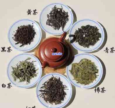 茶的种类主要有哪些-茶的种类主要有哪些?