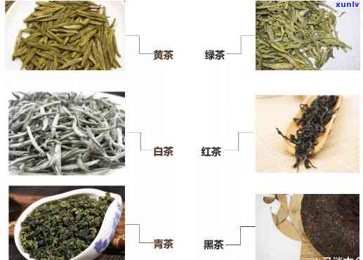 茶的种类主要有哪些-茶的种类主要有哪些?