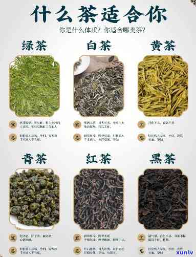 茶的6大种类有哪些呢，探秘茶叶世界：六大种类全面解析！