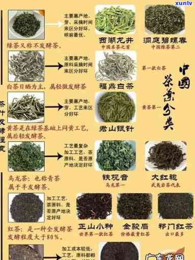 茶的6大种类有哪些-茶的6大种类有哪些图片