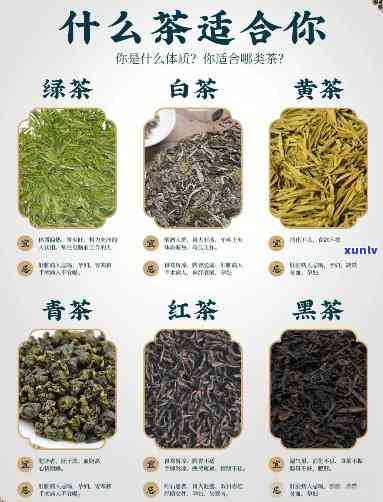 茶的6大种类有哪些-茶的6大种类有哪些图片