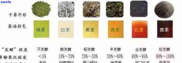 茶的6大种类有哪些-茶的6大种类有哪些图片