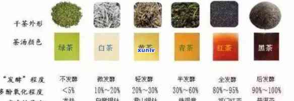 六类茶的种类有哪些-六类茶的种类有哪些图片