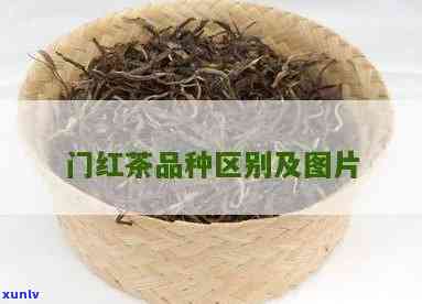 门红茶的种类图片-门红茶的种类图片及价格