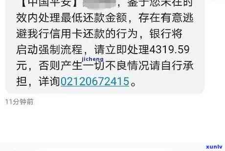 平安  小贷逾期怎么办，平安  小贷逾期解决攻略：怎样应对欠款疑问？