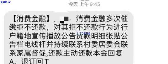 锦城消费金融逾期，警惕！'锦城消费金融逾期'，你的资金安全需要关注