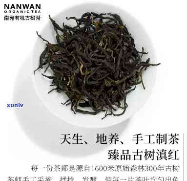 南宛有机茶古树红茶-南宛有机古树茶价格