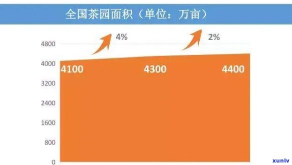 经常喝茶的人群年龄是多少岁，揭秘茶叶爱好者的年龄分布：你属于哪个年龄？