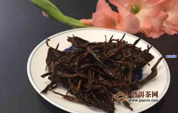 古树红茶和红茶区别-古树红茶和红茶区别在哪