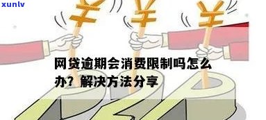 网贷逾期限制消费-网贷逾期限制消费令