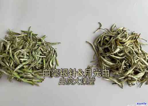 云南特产老班章普洱茶新货上市，厂家批发价格特，品质保证！