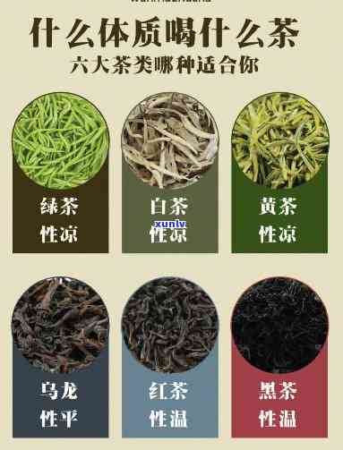 茶的六大种类介绍，探秘茶的世界：详细解析茶的六大种类