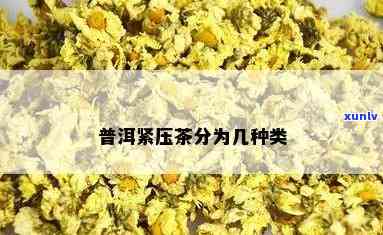 茶有几种类型紧压茶-茶有几种类型紧压茶叶