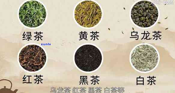 有多不同种类的茶-有多不同种类的茶英语