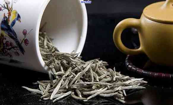 古树银针属于什么茶类，探秘茶叶世界：了解古树银针的茶类归属