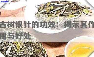 古树银针的功效：揭示其独特作用与健益处