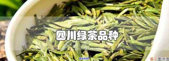 川茶的种类以及特点介绍，探秘川茶：种类与特点全解析