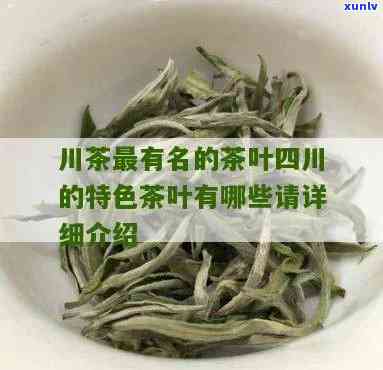 川茶的种类以及特点有哪些，探秘川茶：了解其种类与独特特点