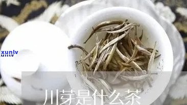 川茶的种类以及特点有哪些，探秘川茶：了解其种类与独特特点