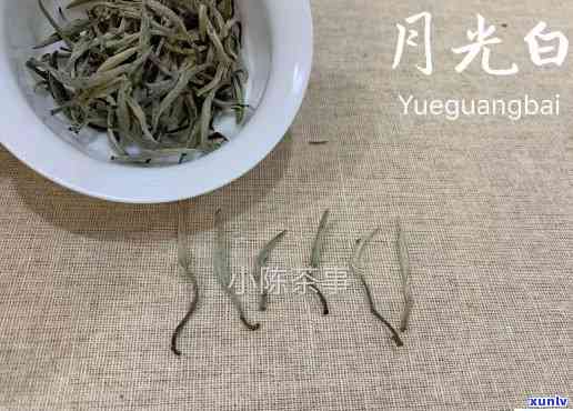 古树月光白是什么茶多少钱，探索神秘的古树月光白：一种珍贵茶叶的价格与介绍