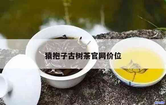 猿抱子古树茶官网价位，探寻古树茶韵味：猿抱子古树茶官网价位解析