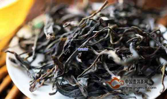 古树秋茶属于什么茶-古树秋茶属于什么茶类