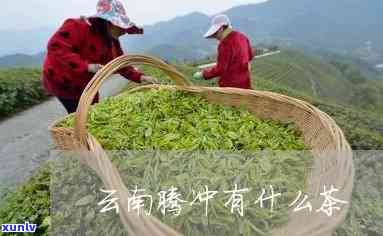 腾冲的茶是什么种类的茶叶，揭秘腾冲特产：你了解腾冲的茶是何种茶叶吗？