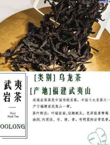 著茗武夷茶图片种类-著茗(武夷山)茶业官网