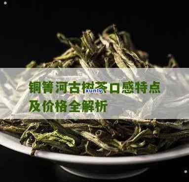 铜箐河古树茶口感，探索云南秘境：品味铜箐河古树茶的独特口感