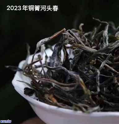 铜箐河古树有多好喝-铜箐河古树茶口感