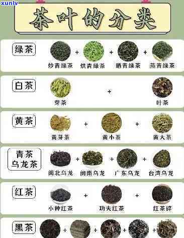 常见的茶的种类，探索世界：了解常见茶类及其特点