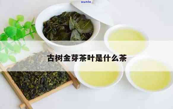 古树金芽属于什么茶类，探寻茶叶世界：古树金芽的茶类归属