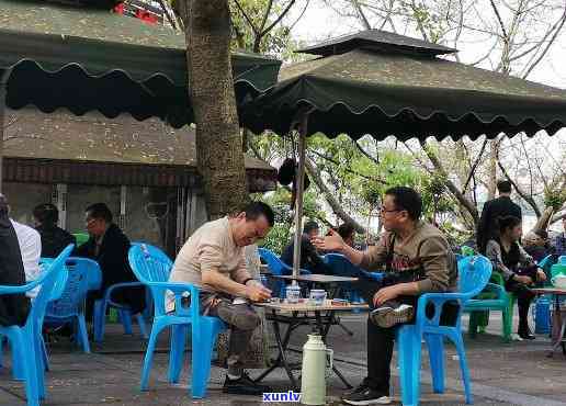 用保杯泡普洱茶叶好不好喝？放保杯里泡的普洱茶还能喝吗？