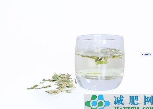 好喝的减肥茶自制：配方与教程全攻略