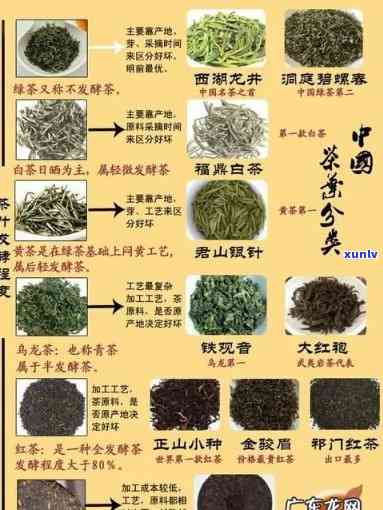 茶都有哪些种类图片-茶都有哪些种类图片大全