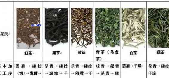 茶都有哪些种类图片-茶都有哪些种类图片大全