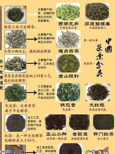 全面了解茶的种类及代表茶：从绿茶到红茶，一网打尽