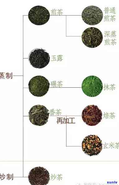 各地茶品种大全，探索茶文化的深度：全国各地茶品种大全