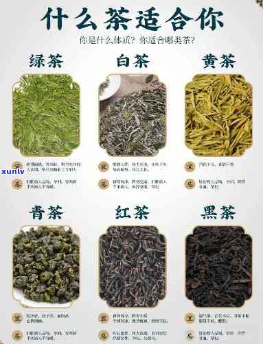 茶的六大种类有哪些-茶的六大种类有哪些图片