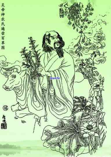 神农氏发现了茶,最初是发现了茶的什么价值，神农氏发现茶的价值：从最初的探索到现在的茶文化