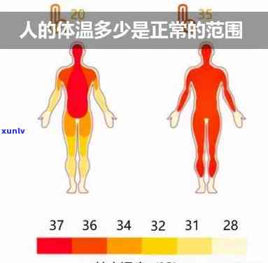 人体体温是什么意思，解密人体体温：你所不知道的事实和含义