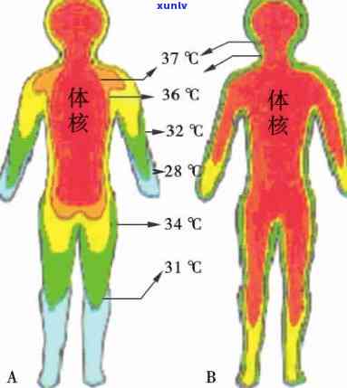 人体体温翡翠-人体体温f