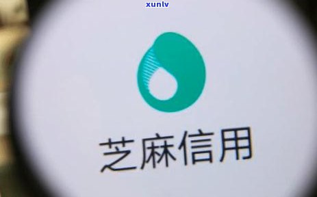 支付宝逾期贷款：还能再贷吗？会对信用有作用吗？