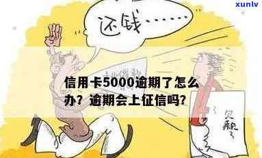 交通逾期5000-交通逾期一天上吗