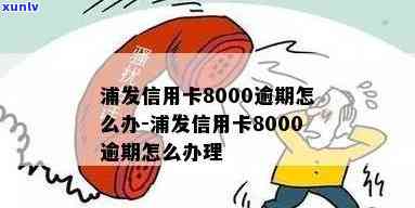 浦发逾期3000-浦发逾期3000块钱可以分期吗