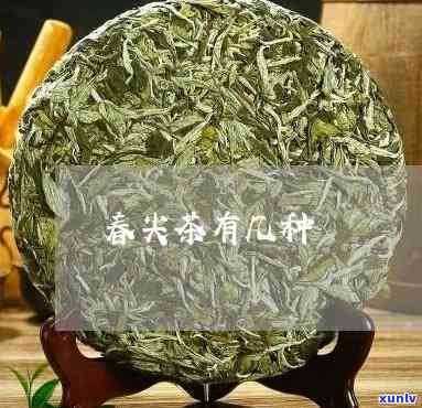 好春尖茶有哪些品种名称，探秘好春尖茶：了解其品种名称与特点