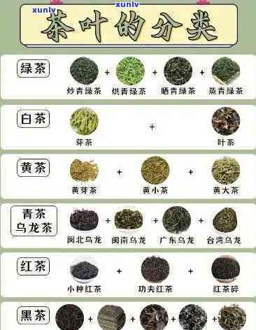 最甜的茶是什么品种图片，探寻最甜茶叶品种：看图解密！