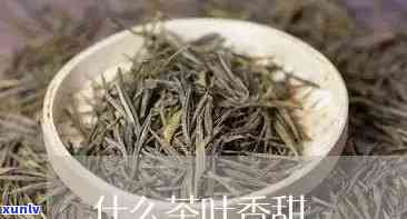 最甜的茶是什么品种-最甜的茶是什么品种的