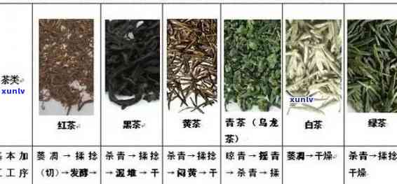 最甜的茶是什么品种-最甜的茶是什么品种的